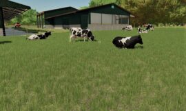 Коровы в Farming Simulator 22.