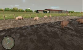 Свиньи в Farming Simulator 2022.