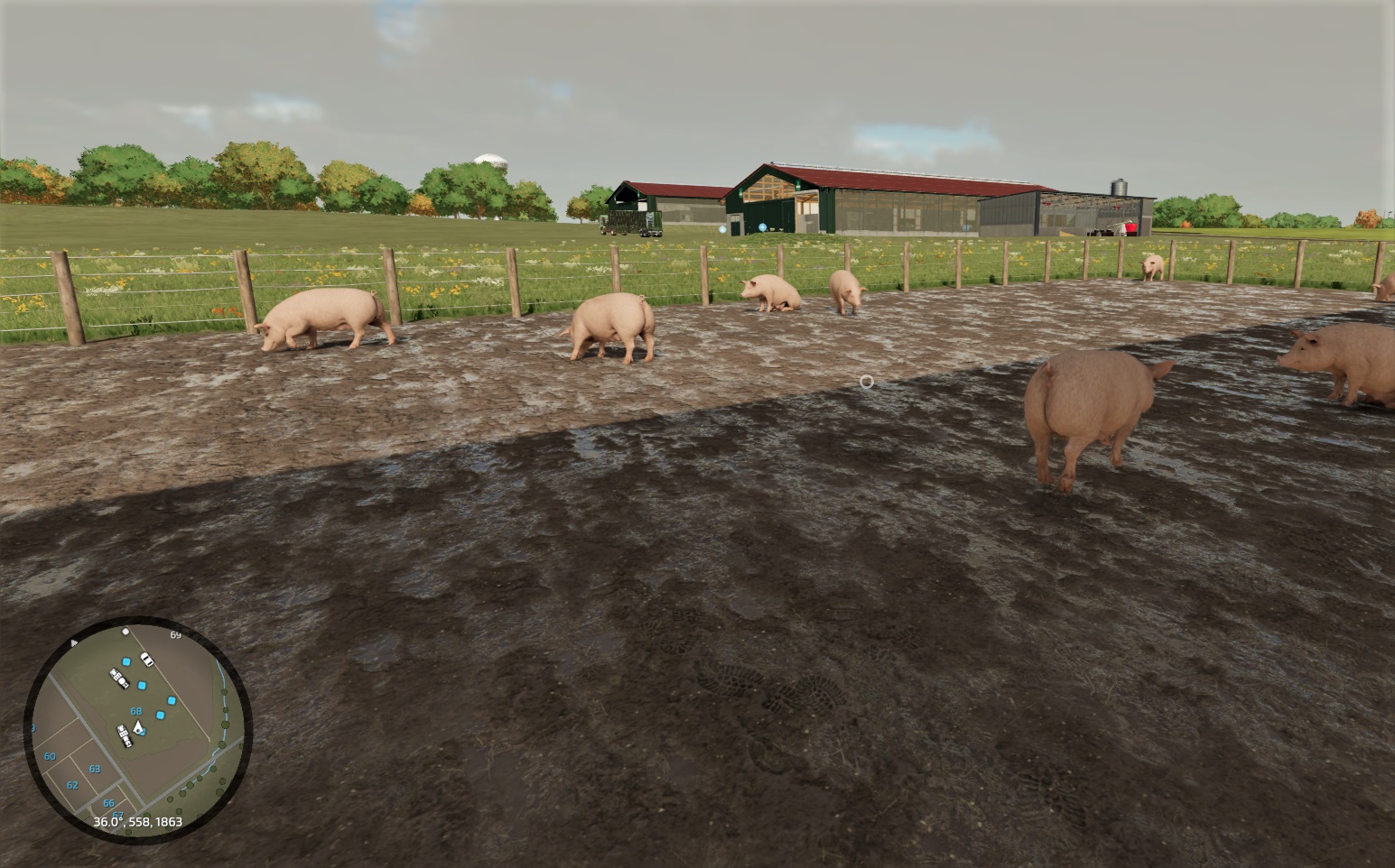 Read more about the article Свиньи в Farming Simulator 2022.