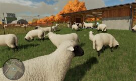 Овцы в Farming Simulator 2022.