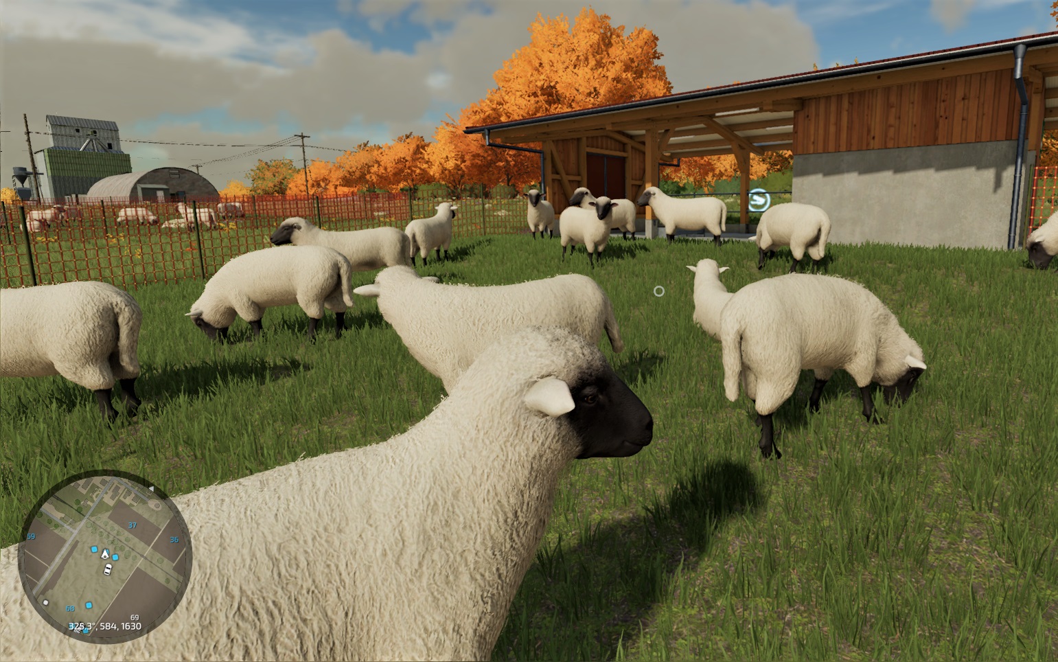 You are currently viewing Овцы в Farming Simulator 2022.